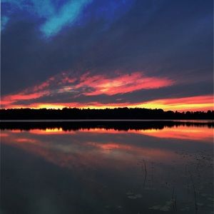 Meet your Posher, Colin